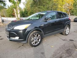 Vehiculos salvage en venta de Copart Portland, OR: 2013 Ford Escape SEL