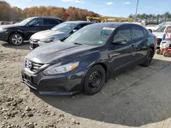 Salvage cars for sale at York Haven, PA auction: 2016 Nissan Altima 2.5