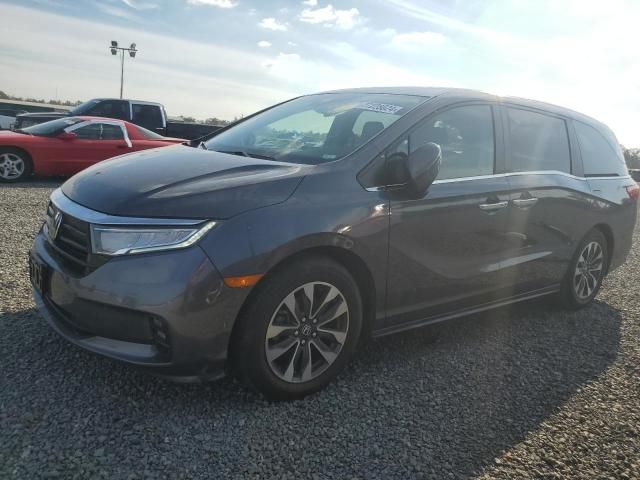 2021 Honda Odyssey EXL