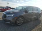 2021 Honda Odyssey EXL