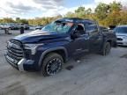 2023 Toyota Tundra Crewmax Limited