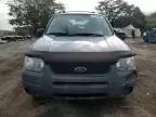 2004 Ford Escape XLS