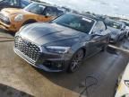 2020 Audi S5 Prestige