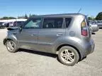 2010 KIA Soul +