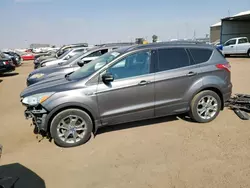 2013 Ford Escape SEL en venta en Brighton, CO