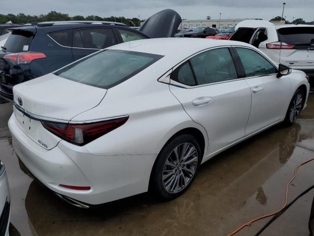 2019 Lexus ES 350