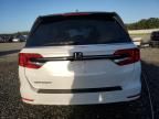 2024 Honda Odyssey EXL