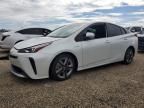 2021 Toyota Prius Special Edition