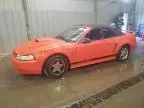 2004 Ford Mustang