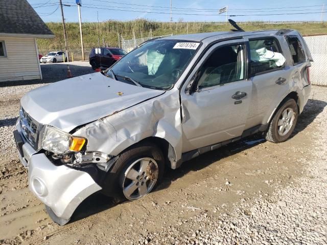 2011 Ford Escape XLT