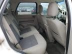 2008 Ford Escape HEV