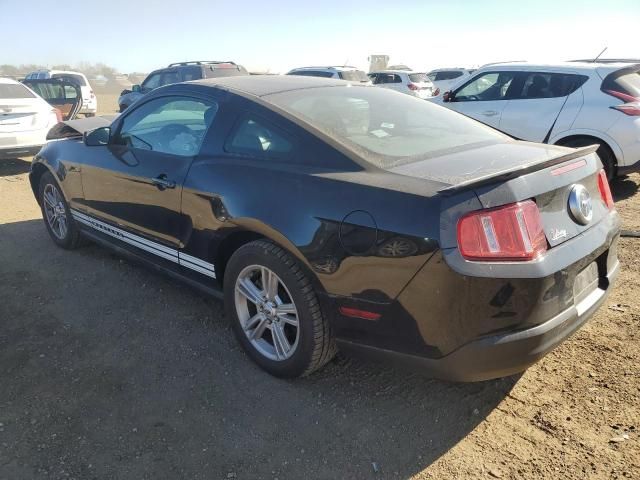 2010 Ford Mustang