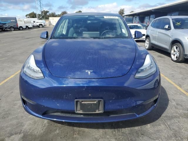 2020 Tesla Model Y