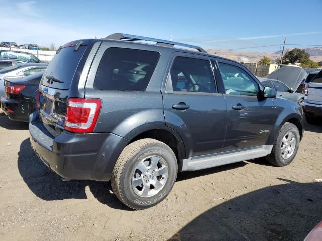 2009 Ford Escape Hybrid