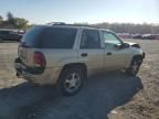 2007 Chevrolet Trailblazer LS