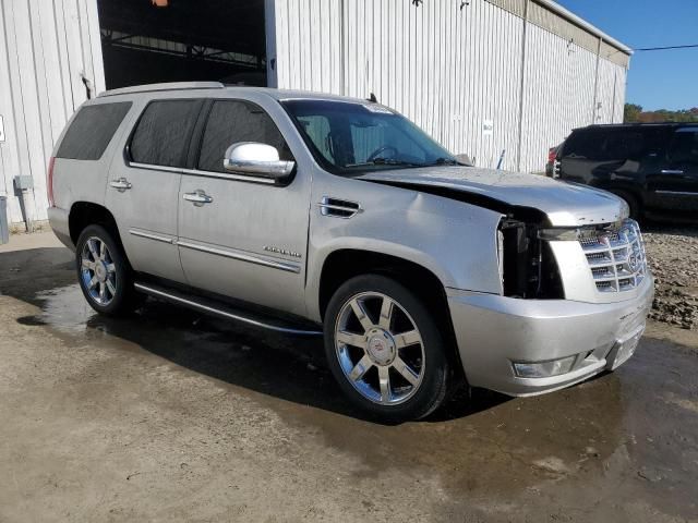 2010 Cadillac Escalade Luxury