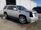 2010 Cadillac Escalade Luxury