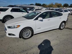 Ford salvage cars for sale: 2014 Ford Fusion SE Hybrid