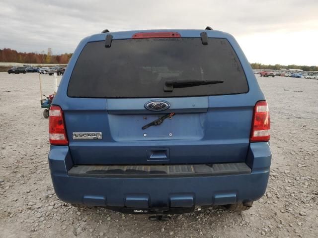 2010 Ford Escape XLT