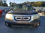 2009 Honda Pilot EXL