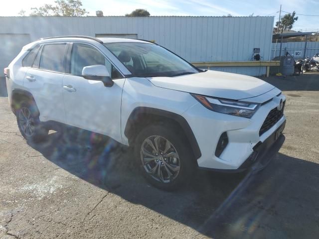 2024 Toyota Rav4 XLE Premium