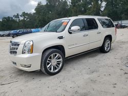 2013 Cadillac Escalade ESV Platinum en venta en Ocala, FL