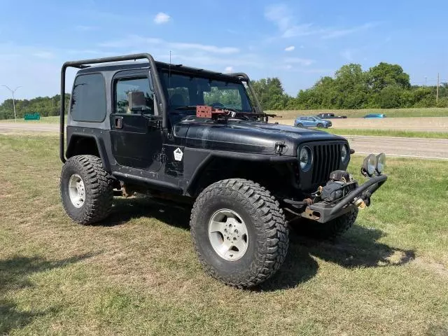 1999 Jeep Wrangler / TJ Sahara