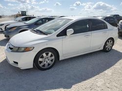 Honda Civic lx salvage cars for sale: 2009 Honda Civic LX