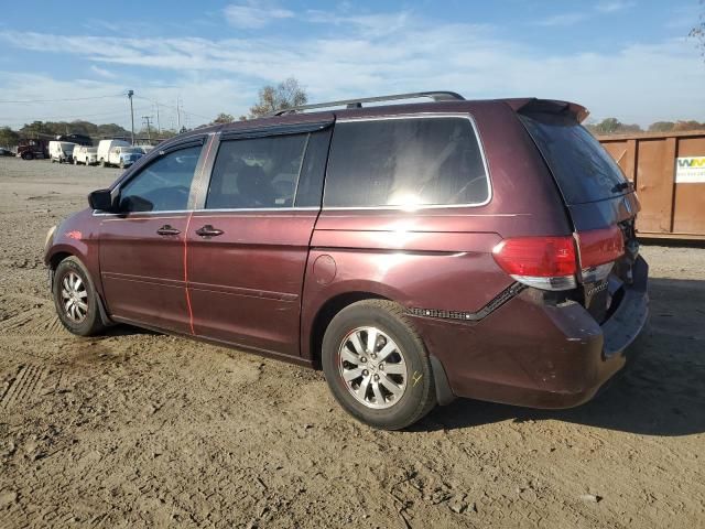 2008 Honda Odyssey EXL