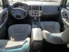 2007 Ford Escape XLT