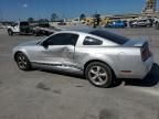 2005 Ford Mustang