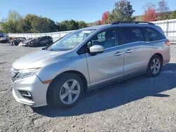 Honda salvage cars for sale: 2018 Honda Odyssey EXL