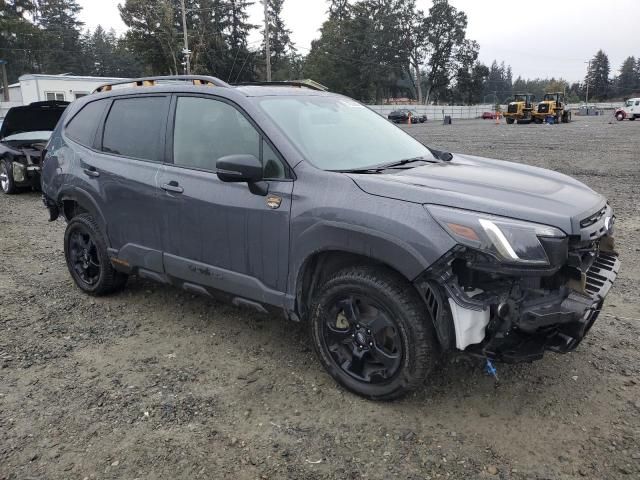 2023 Subaru Forester Wilderness