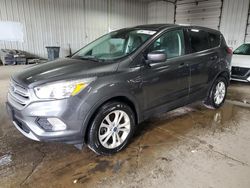 Salvage cars for sale at Franklin, WI auction: 2019 Ford Escape SE