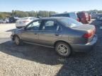 1999 Nissan Sentra Base