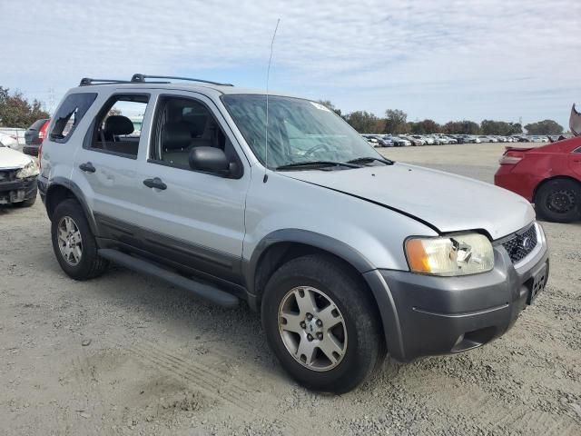 2003 Ford Escape XLT