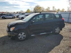 Toyota salvage cars for sale: 2010 Toyota Rav4