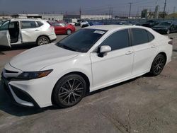 2021 Toyota Camry SE en venta en Sun Valley, CA