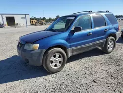 Salvage cars for sale at Lumberton, NC auction: 2007 Ford Escape XLT