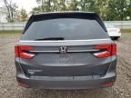 2024 Honda Odyssey EX