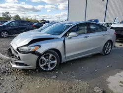 Salvage cars for sale at Lawrenceburg, KY auction: 2013 Ford Fusion SE