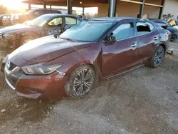 Nissan salvage cars for sale: 2017 Nissan Maxima 3.5S