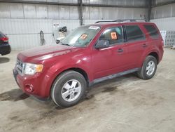 Salvage cars for sale at Des Moines, IA auction: 2011 Ford Escape XLT