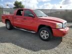 2007 Dodge Dakota Quad SLT