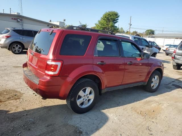 2009 Ford Escape XLT