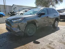 2023 Toyota Rav4 LE en venta en Albuquerque, NM