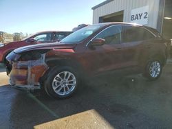 Salvage cars for sale at Elgin, IL auction: 2021 Ford Escape SE