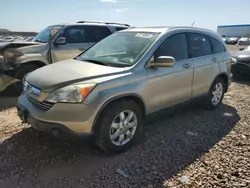 Salvage cars for sale at Phoenix, AZ auction: 2007 Honda CR-V EXL