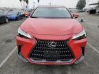 2024 Lexus NX 250 Base