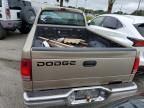 2002 Dodge Dakota SLT